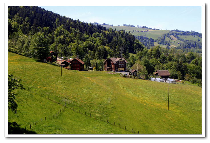 _MG_9296.JPG