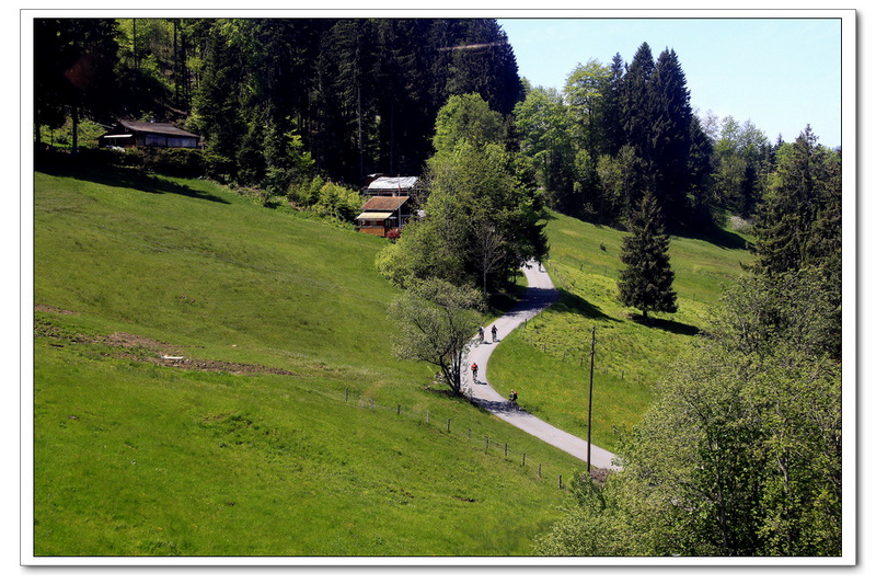 _MG_9276.jpg