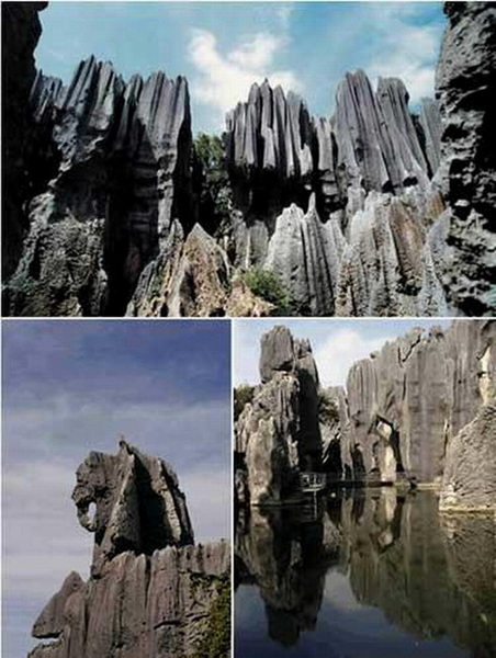 石林.jpg