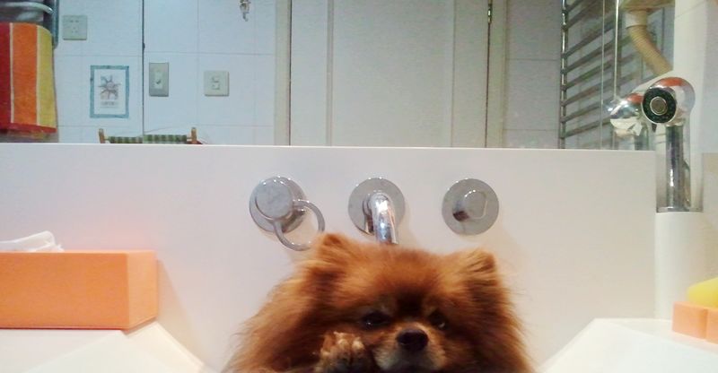 2011-03-25 16.40.14.jpg
