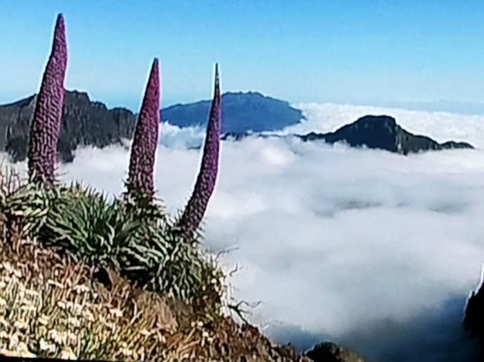 2012-06-04 21.36.27.jpg