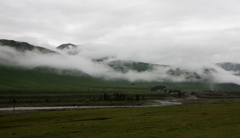 草原雨后的早晨1.jpg