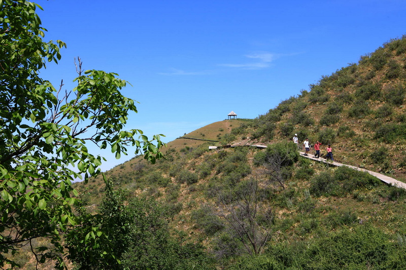 核桃沟风光——山顶观景亭.jpg