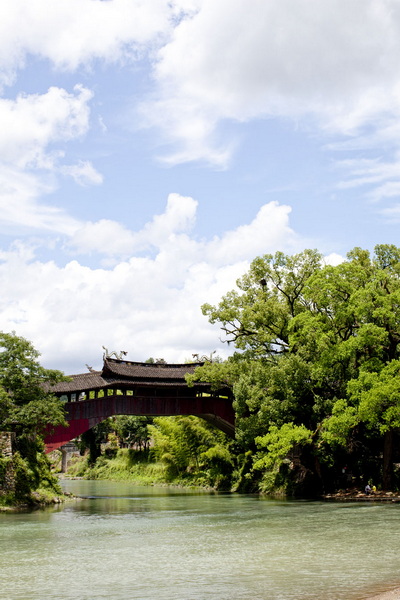 _MG_7348.jpg