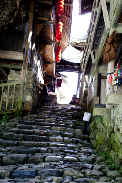 _MG_7242.jpg