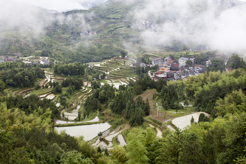 _MG_6960.jpg