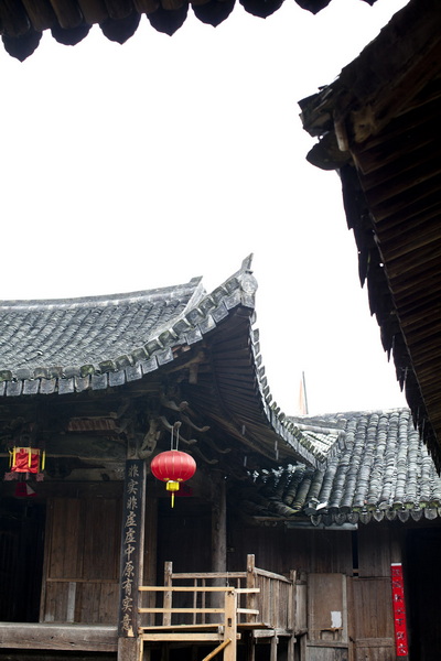 _MG_7104.jpg