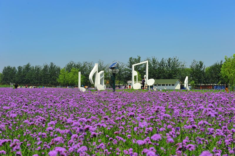 照片 212.jpg