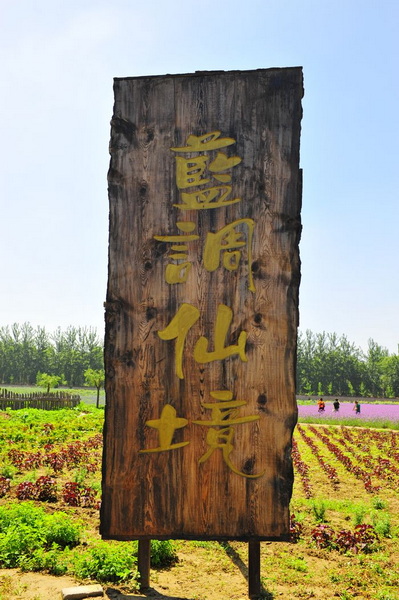 照片 243.jpg