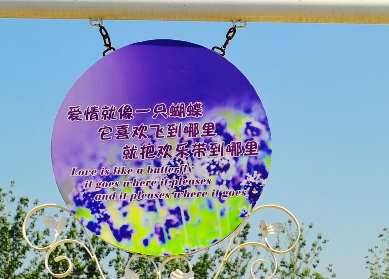 照片 122.jpg