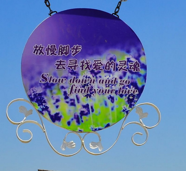 照片 221.jpg