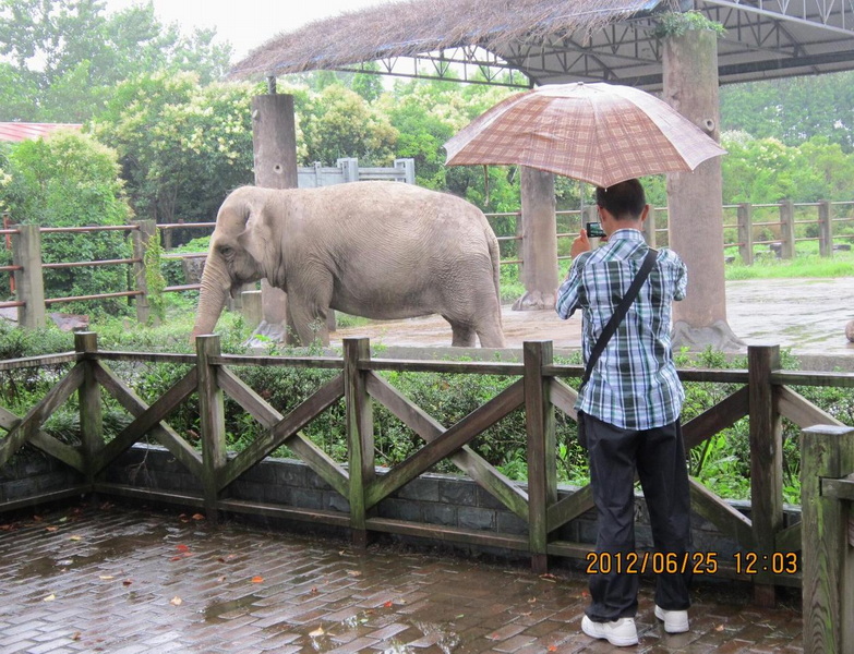 猜猜这是谁在跟大象说悄悄话？？猜对有奖哟。