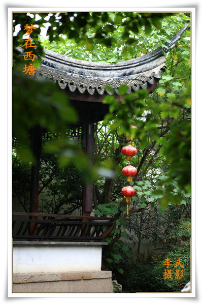 西塘人家后花园_副本.jpg