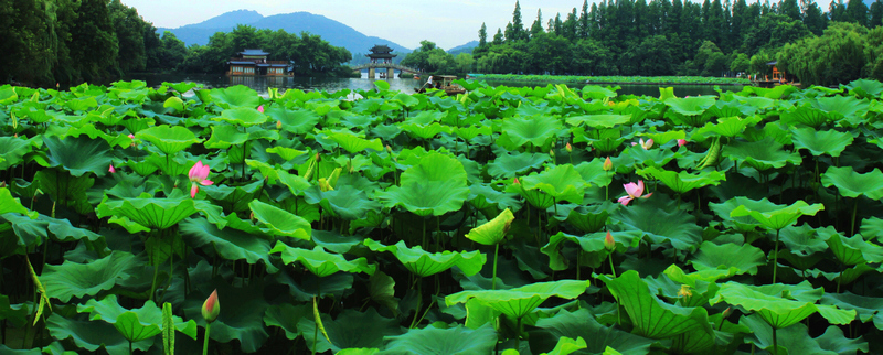 IMG_0601缩.jpg