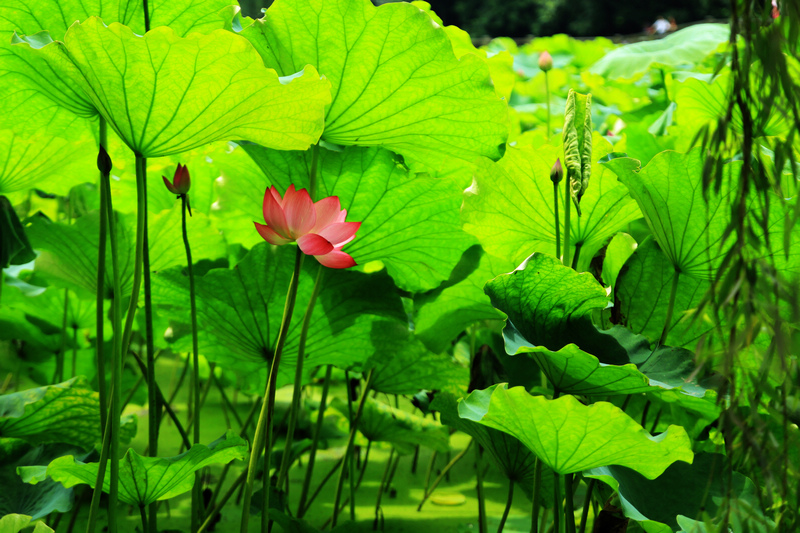 IMG_0618缩.jpg
