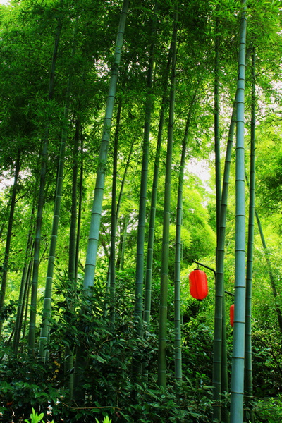 IMG_0643缩.jpg
