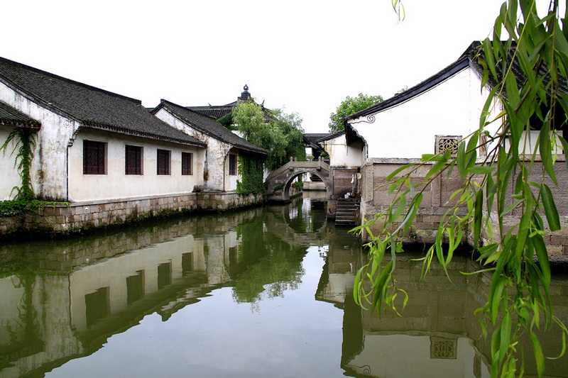 _MG_0005.jpg