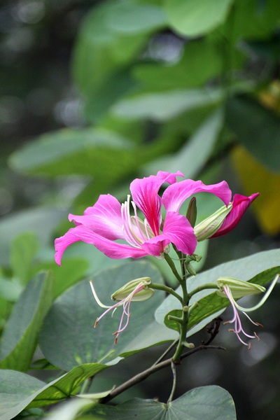 照片 454.jpg