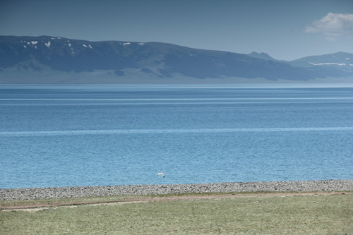 赛里木湖像一颗璀璨的蓝宝石高悬于西天山之间的断陷盆地中