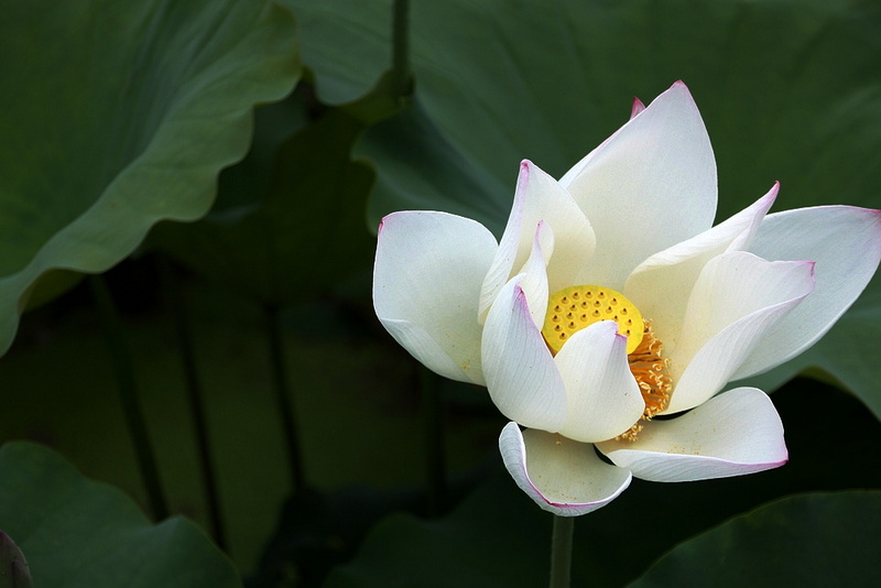 照片 311.jpg