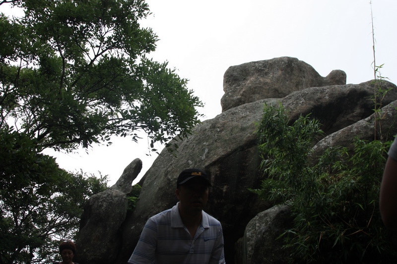 IMG_8995.jpg