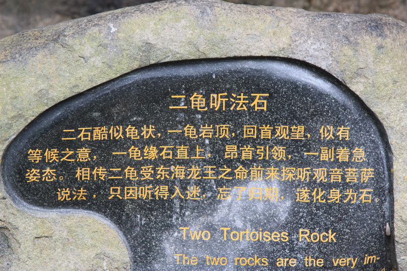 IMG_8996.jpg