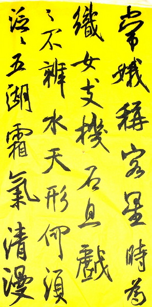 照片 731.jpg