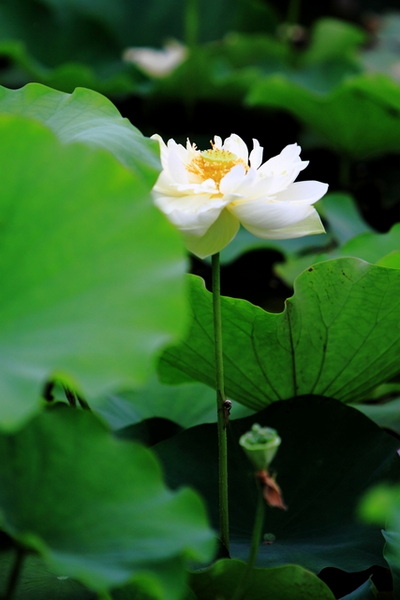 IMG_0022缩.jpg