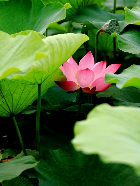 IMG_0080缩.jpg