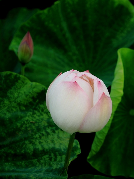 IMG_0148缩.jpg