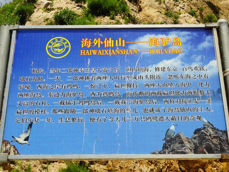 DSC09736.jpg