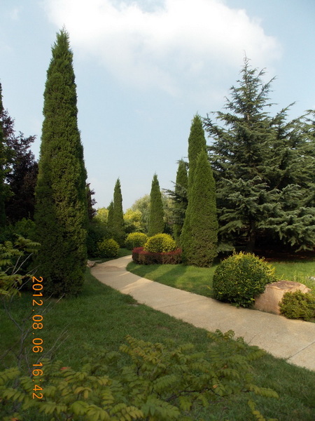 DSCN0491.jpg