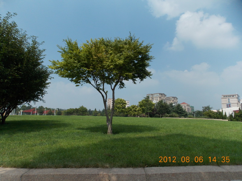 DSCN0459.jpg
