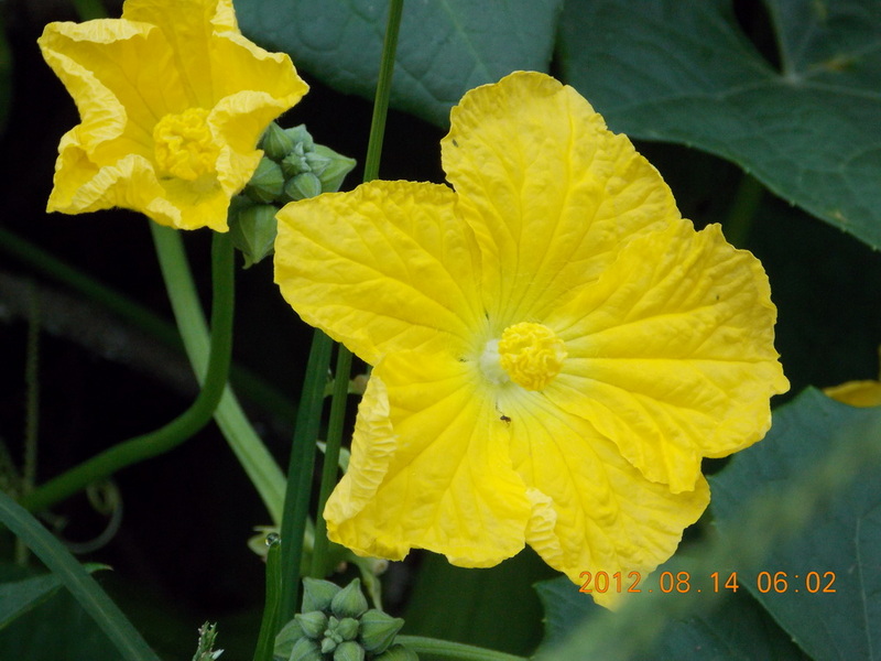 DSCN0512.jpg