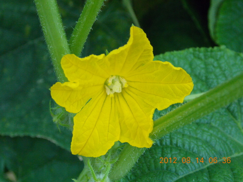 DSCN0540.jpg