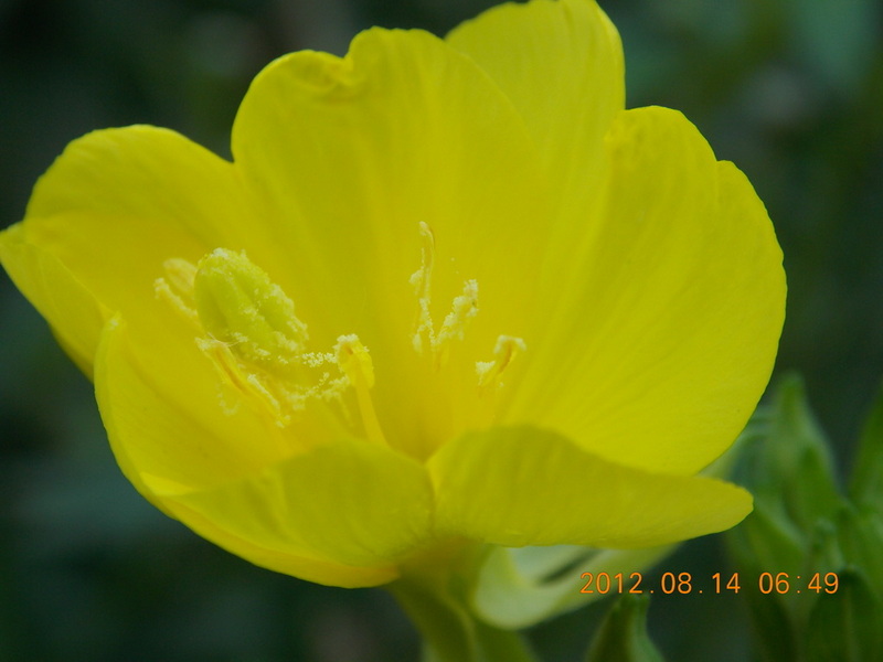 DSCN0549.jpg