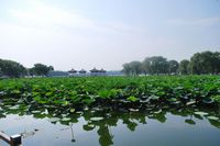 外拍地点“美丽的南湖公园”