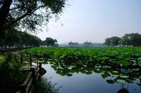 再见南湖，我们相约在相逢！