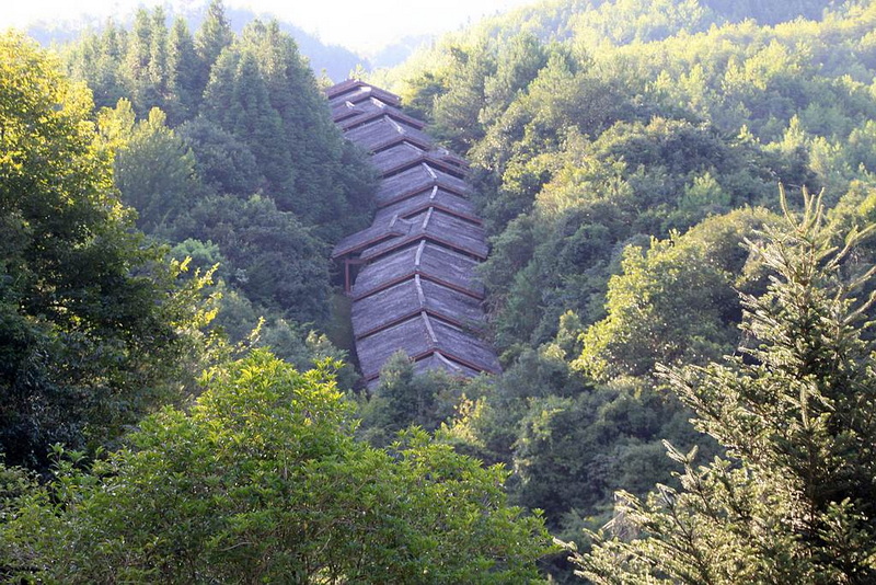 照片 572.jpg