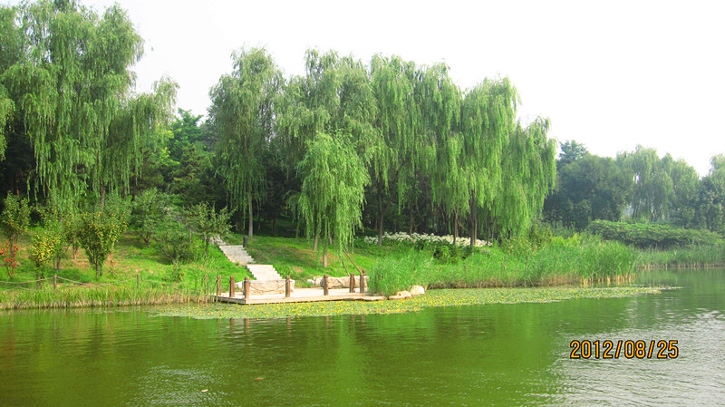IMG_2851_副本.jpg