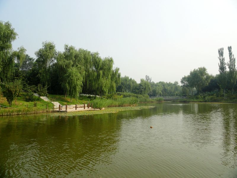 DSC09883.jpg