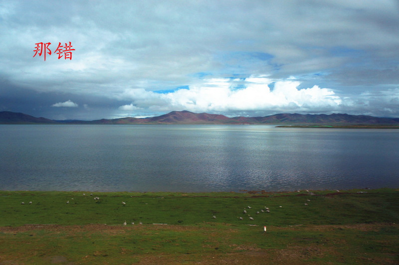 DSC01325_副本.jpg