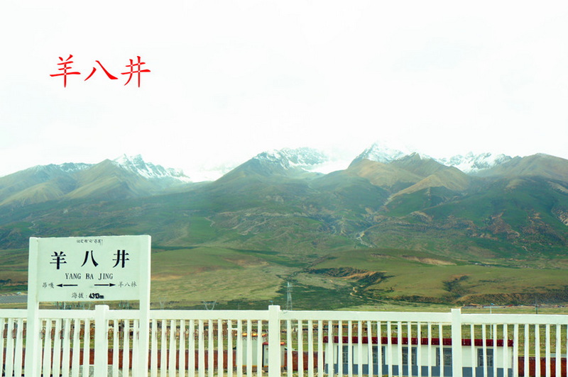DSC01332_副本.jpg