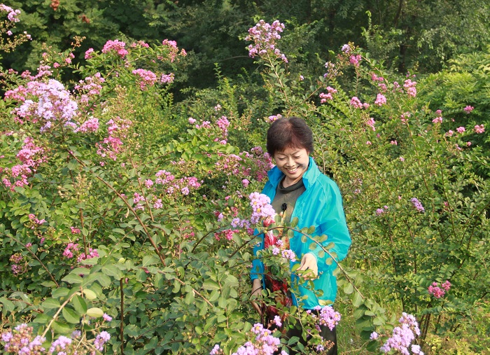 丛中