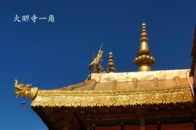 DSC01969_副本.jpg