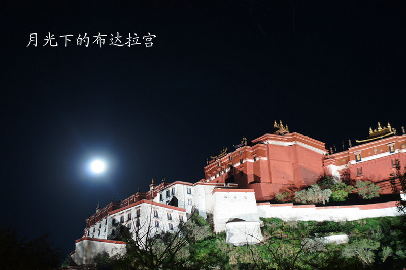 DSC02048_副本.jpg