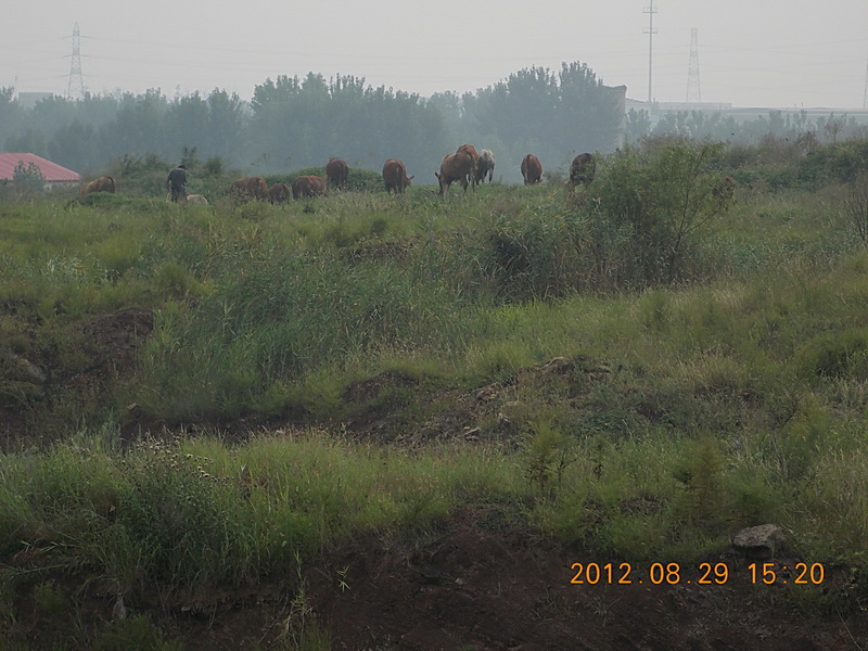 DSCN0558-1.jpg