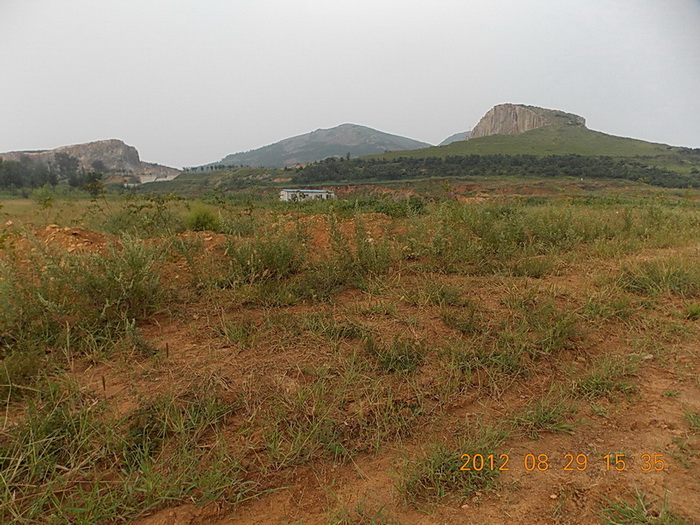 DSCN0564-1.jpg