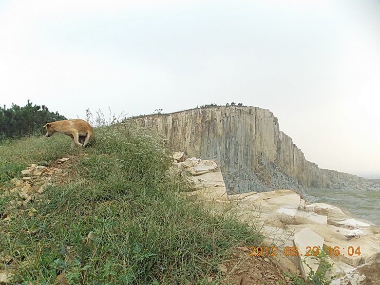 DSCN0580-1.jpg