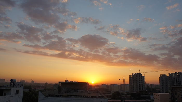 DSC05877.jpg